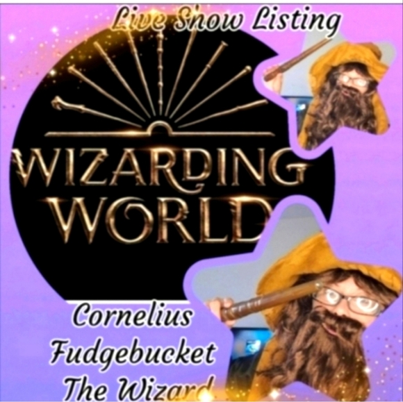 The dumpster fire sell together show on 11/9 at 4 pm. Put on your adult diapers - Picture 5 of 15